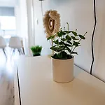 Majo